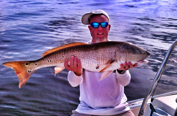 Sam with a Bull Red